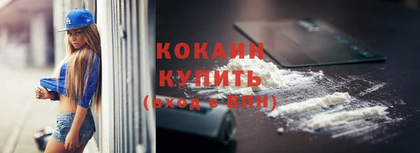 трава Инта