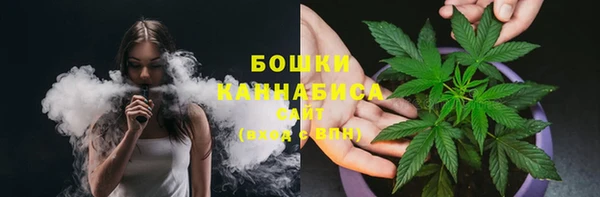 трава Инта