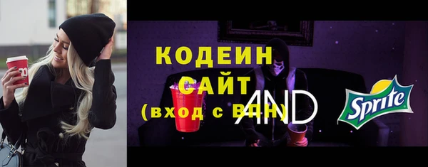 трава Инта