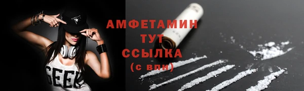 трава Инта