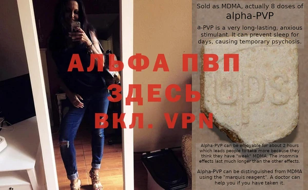 трава Инта