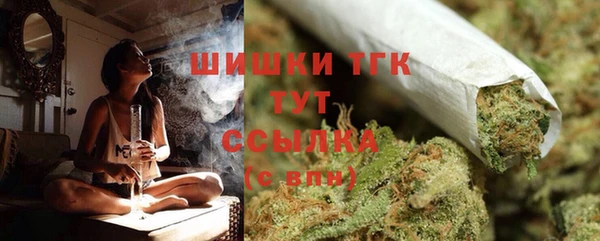 ГАЛЛЮЦИНОГЕННЫЕ ГРИБЫ Иннополис