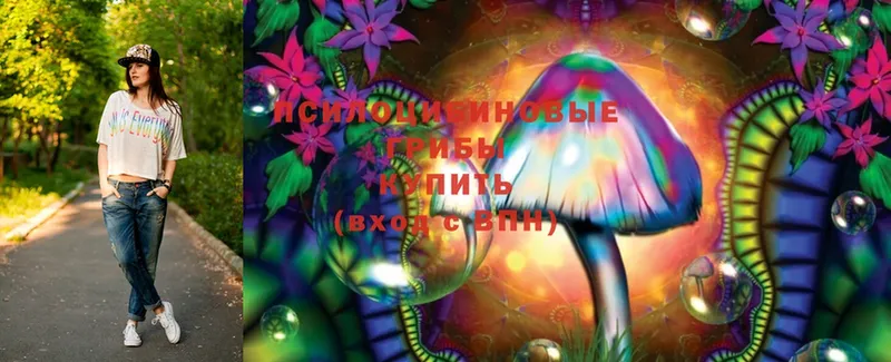 Галлюциногенные грибы Cubensis  Орехово-Зуево 